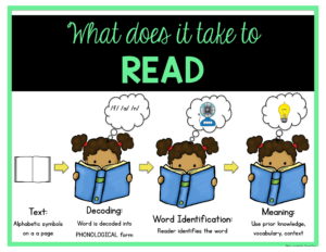 Reading And The Brain - Sarah's Teaching Snippets