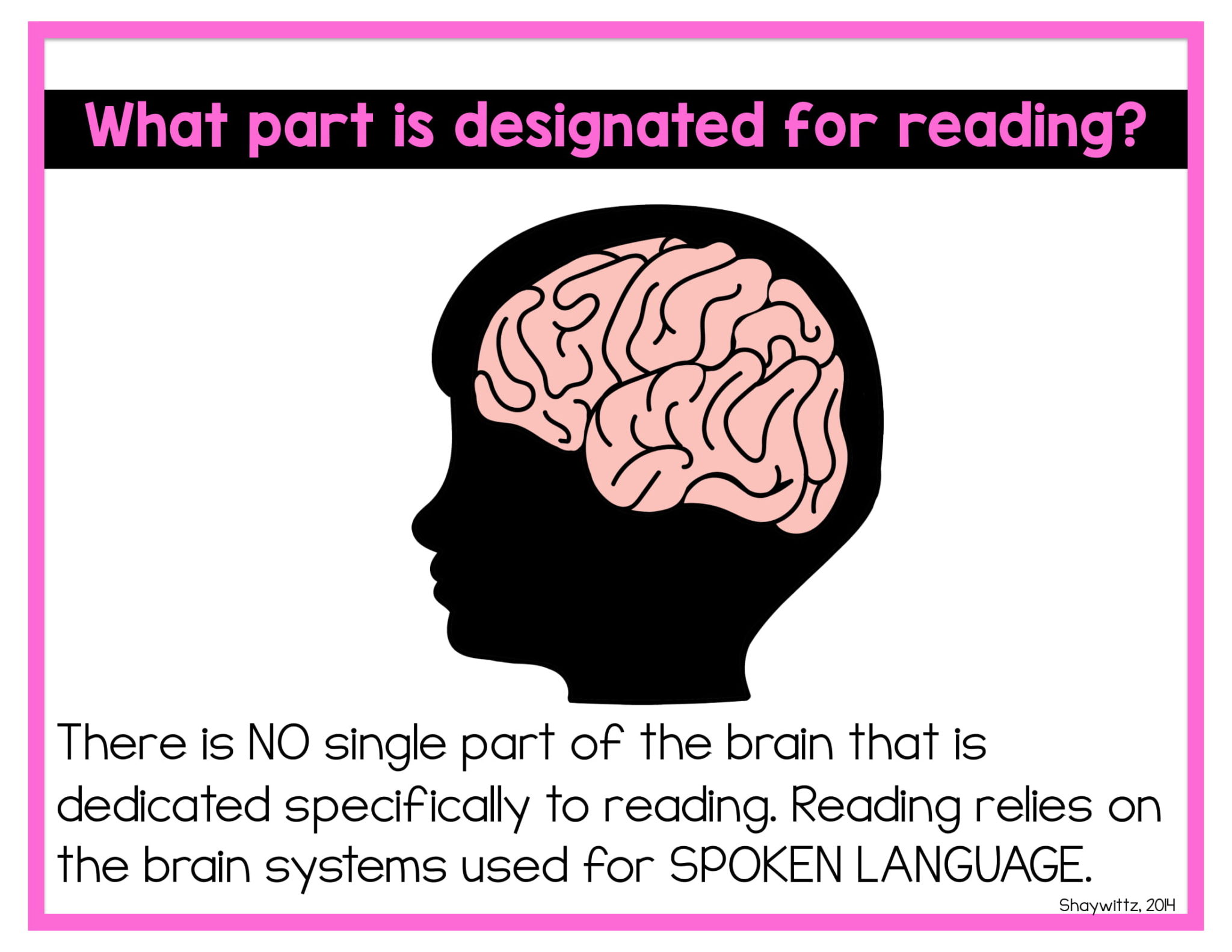 Reading And The Brain Sarahs Teaching Snippets