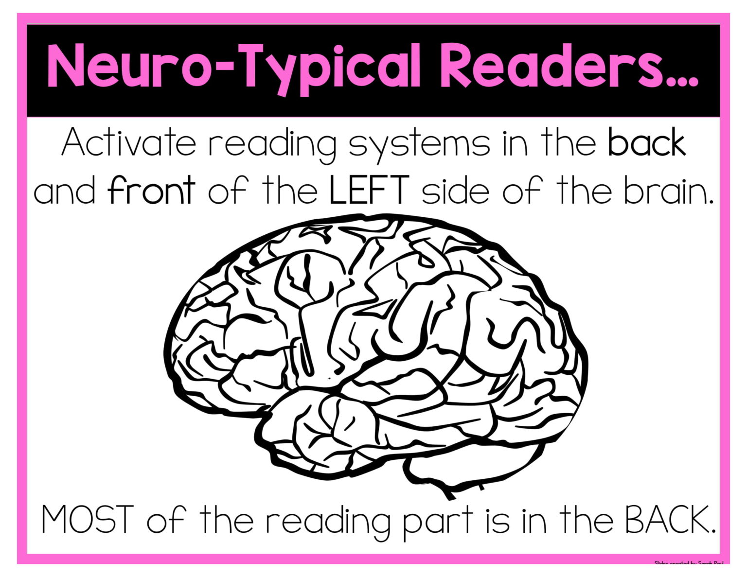 Reading And The Brain - Sarah's Teaching Snippets