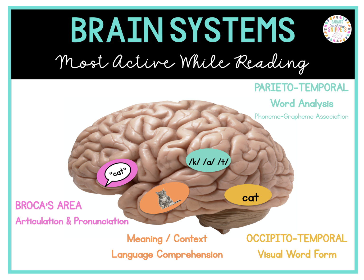 All About Dyslexia - Sarah's Teaching Snippets