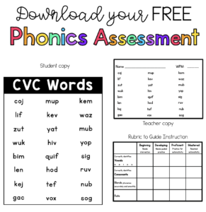 Phonics Assessments - Sarah's Teaching Snippets