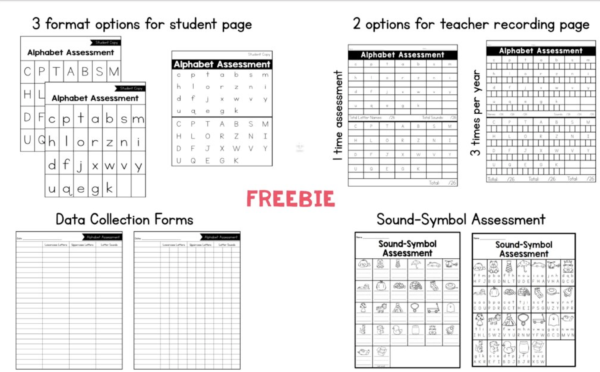 Phonics Assessments - Sarah's Teaching Snippets