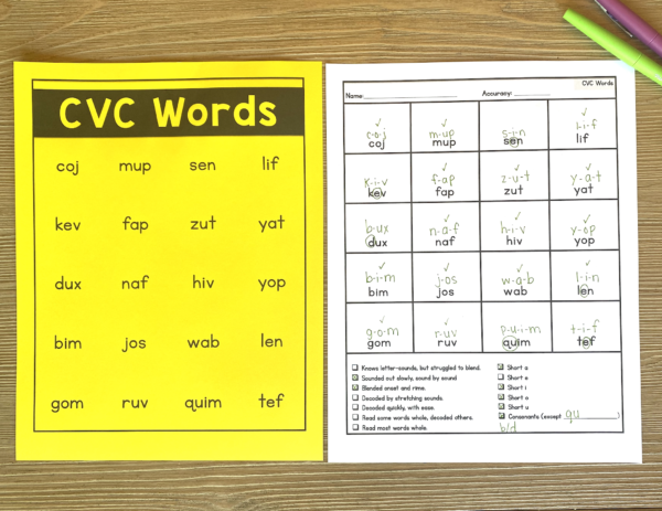 Phonics Assessments - Sarah's Teaching Snippets