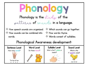 Structured Literacy - Sarah's Teaching Snippets