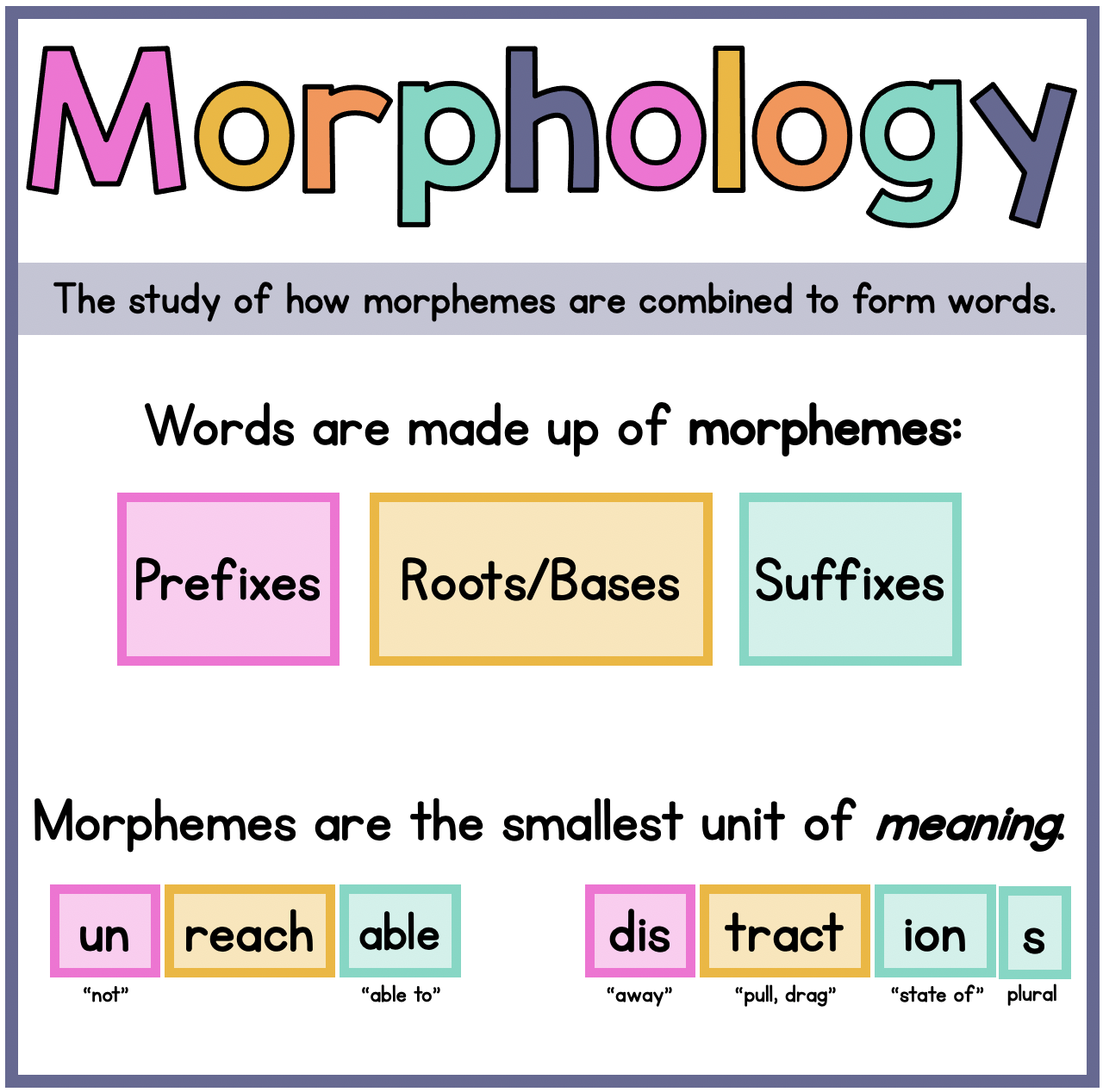 Tooth Morphology Definition